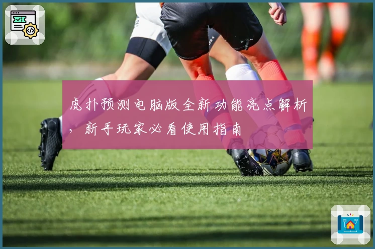 虎扑预测电脑版全新功能亮点解析，新手玩家必看使用指南