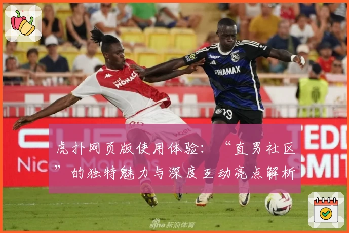 虎扑网页版使用体验：“直男社区”的独特魅力与深度互动亮点解析