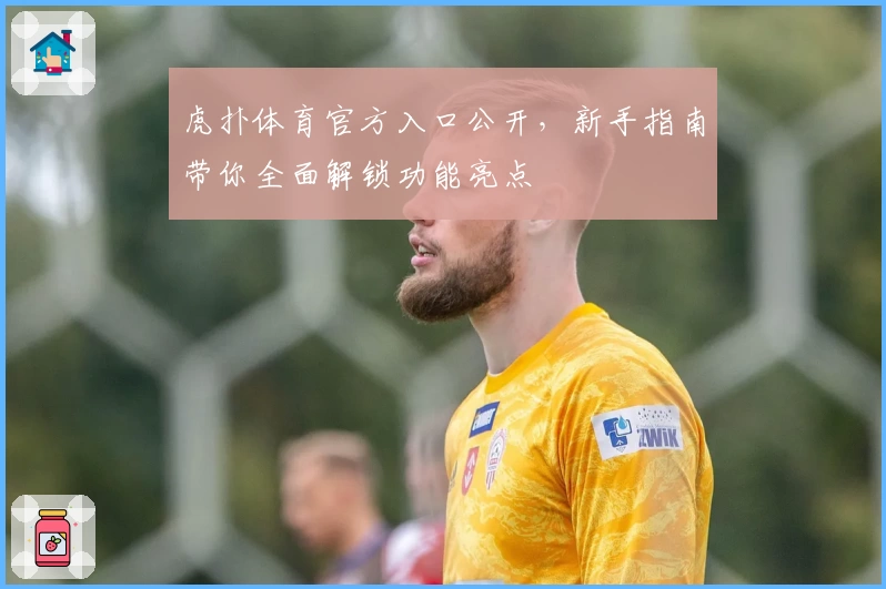 虎扑体育官方入口公开，新手指南带你全面解锁功能亮点