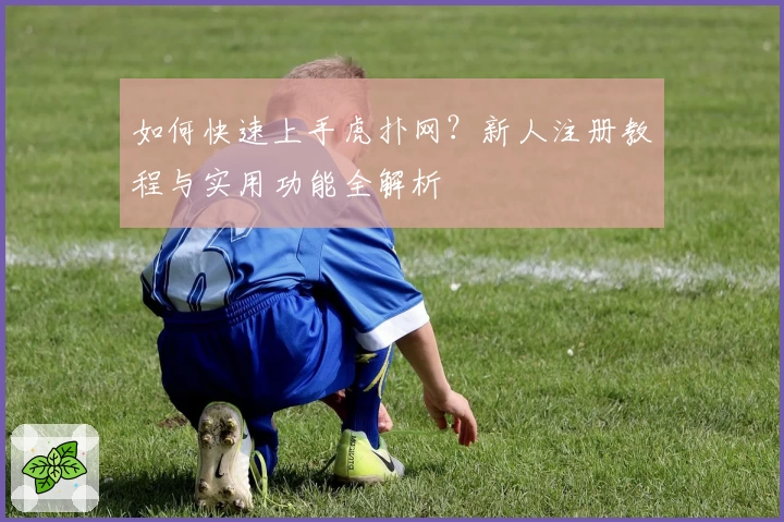 如何快速上手虎扑网？新人注册教程与实用功能全解析
